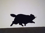 20140708.jpg